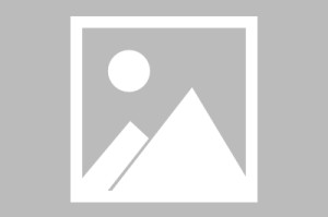 赌pg电子游戏输到视频(pg电子网赌游戏怎么开挂的)